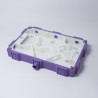 Large Formicarium 17,4 cm x 11,6 cm