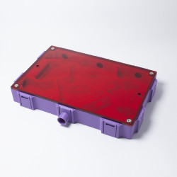 Large Formicarium 17,4 cm x 11,6 cm