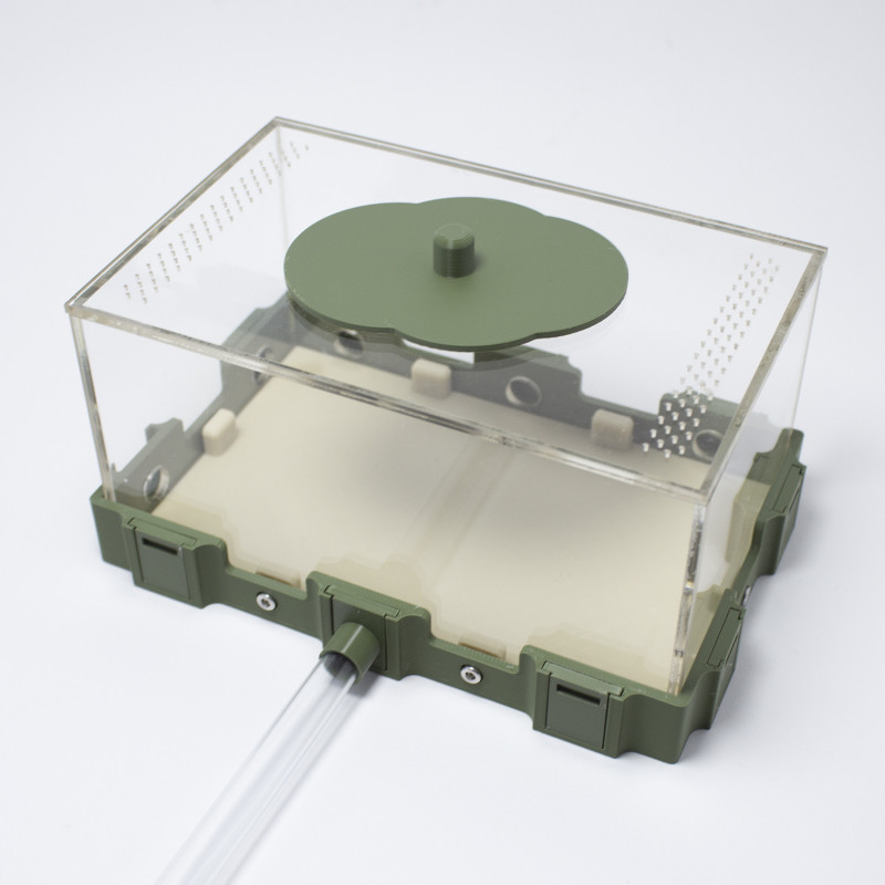 Outworld Large 17,4 cm (L) x 11,6 cm (W) x 10 cm (H)